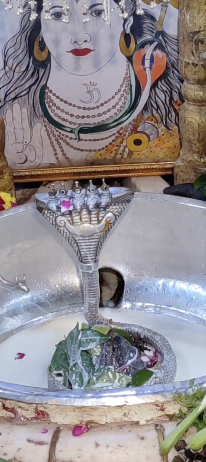 Rudrabhishek to Shree Kubereshwar Mahadev