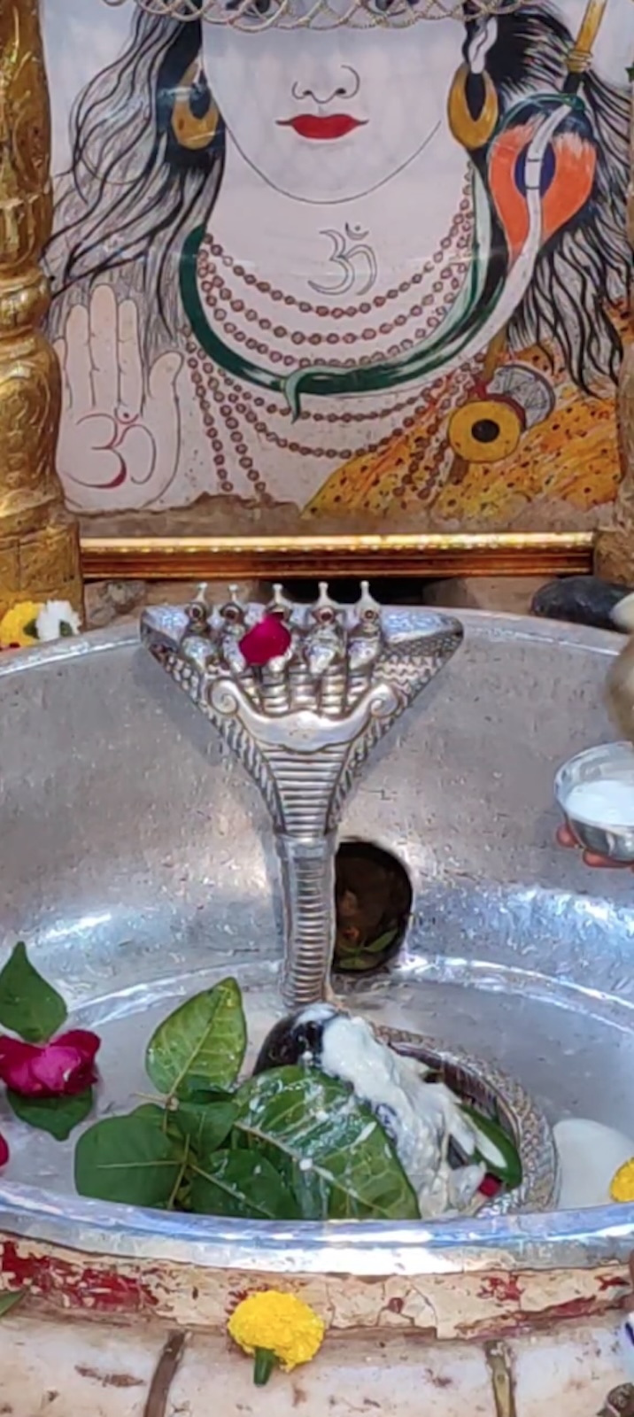 Rudrabhishek to Shree Kubereshwar Mahadev