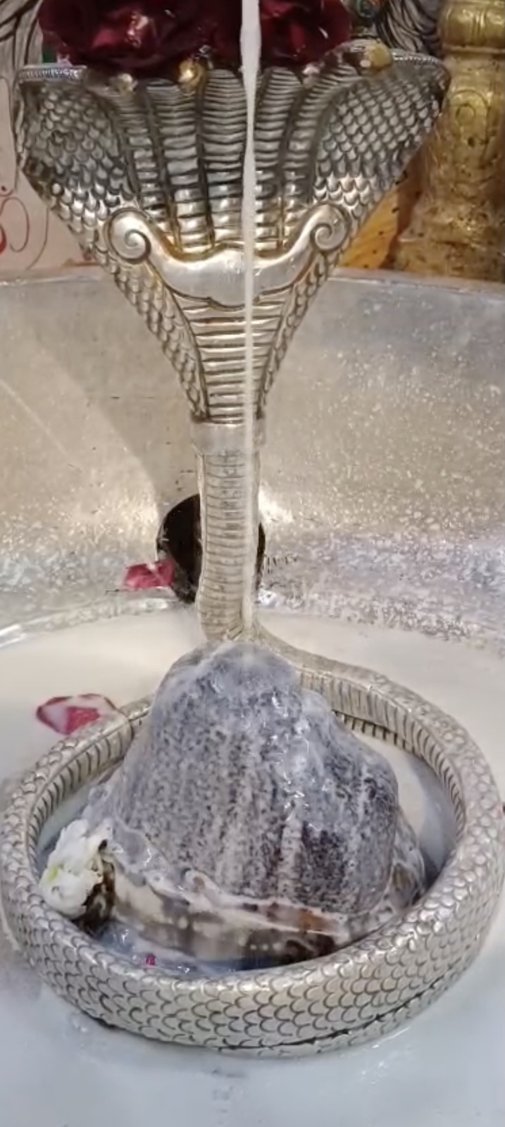 Rudrabhishek to Shree Kubereshwar Mahadev