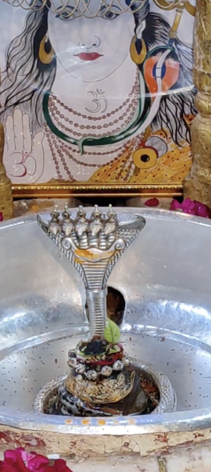 Rudrabhishek to Shree Kubereshwar Mahadev