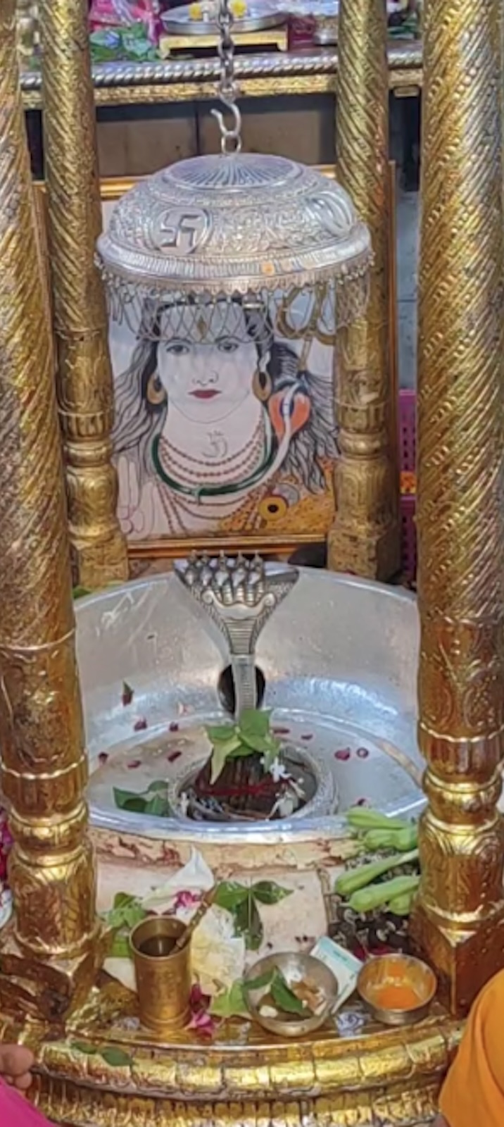 Rudrabhishek to Shree Kubereshwar Mahadev