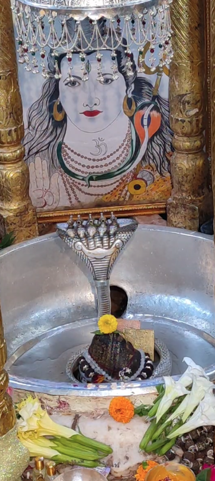 Rudrabhishek to Shree Kubereshwar Mahadev