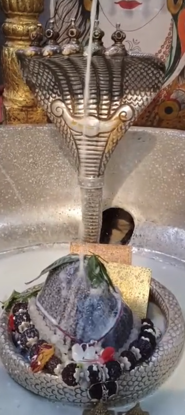 Rudrabhishek to Shree Kubereshwar Mahadev