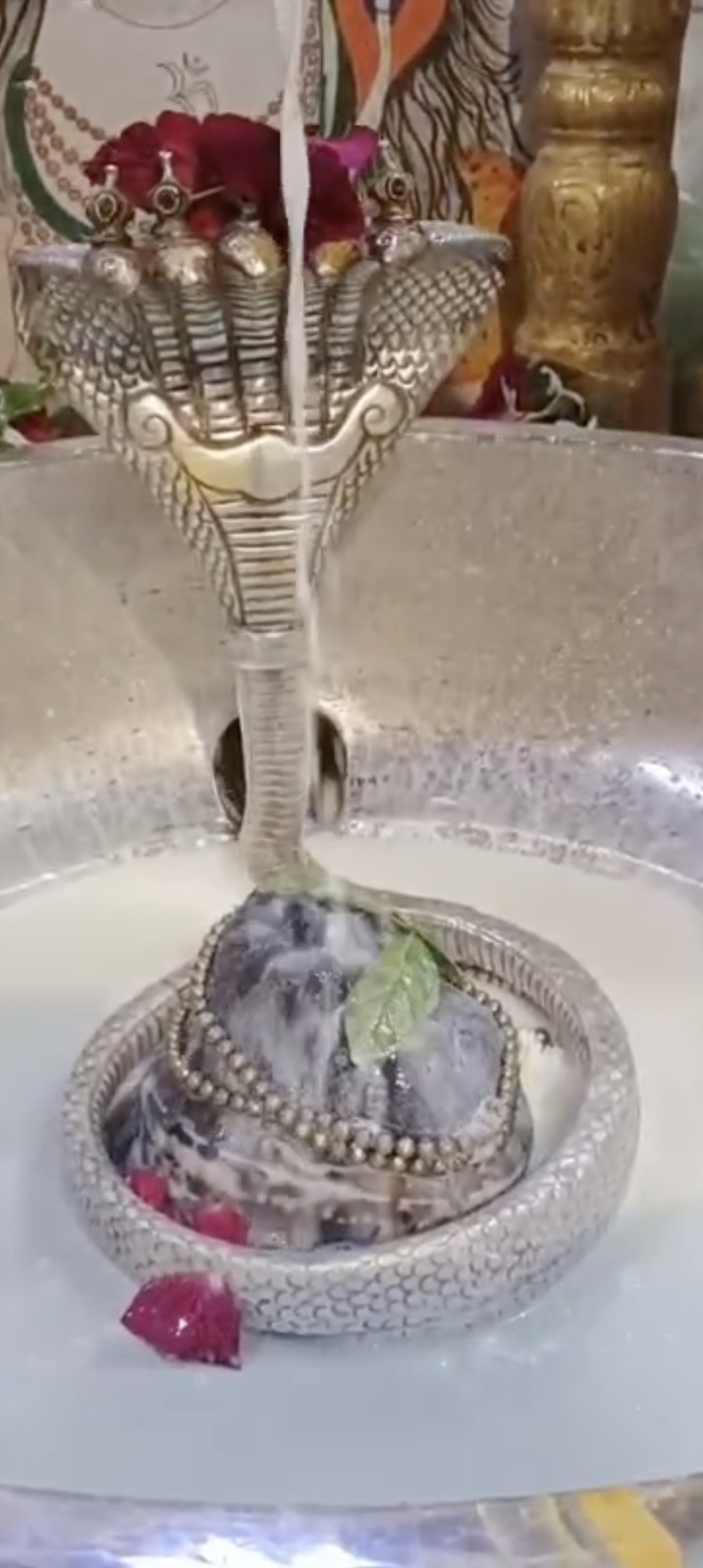 Rudrabhishek to Shree Kubereshwar Mahadev