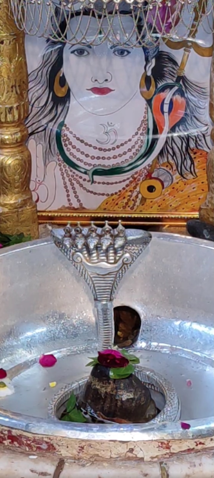Rudrabhishek to Shree Kubereshwar Mahadev