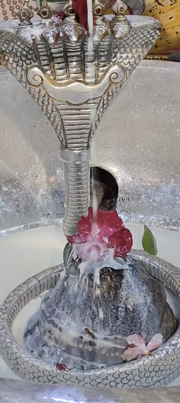 Rudrabhishek to Shree Kubereshwar Mahadev