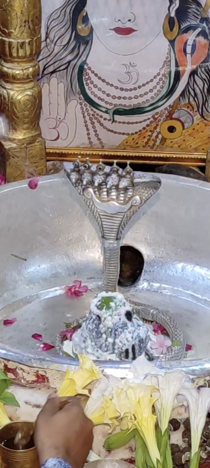 Rudrabhishek to Shree Kubereshwar Mahadev