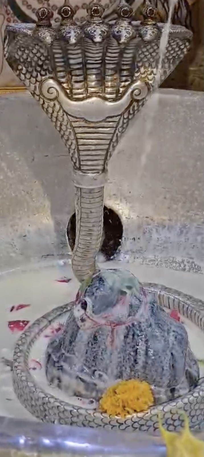 Rudrabhishek to Shree Kubereshwar Mahadev