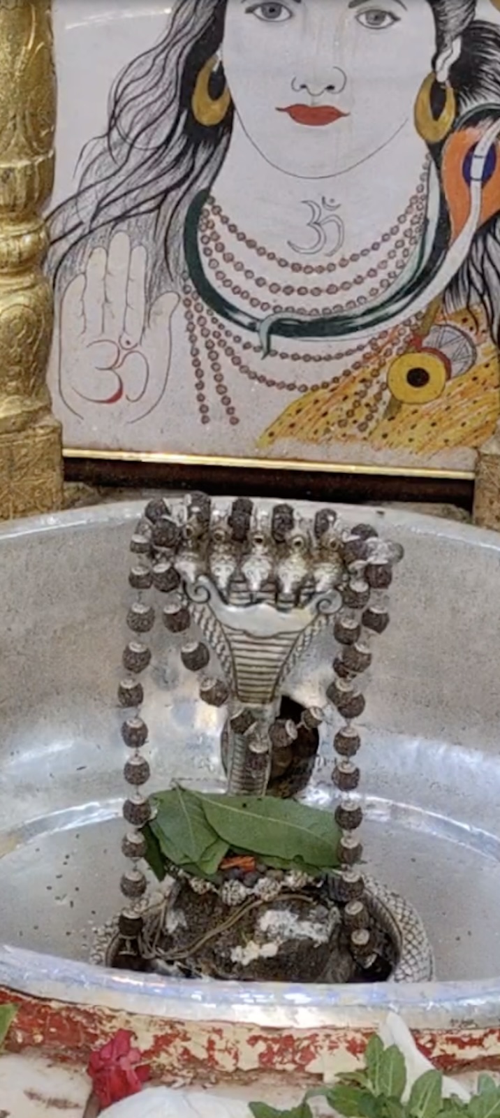 Rudrabhishek to Shree Kubereshwar Mahadev