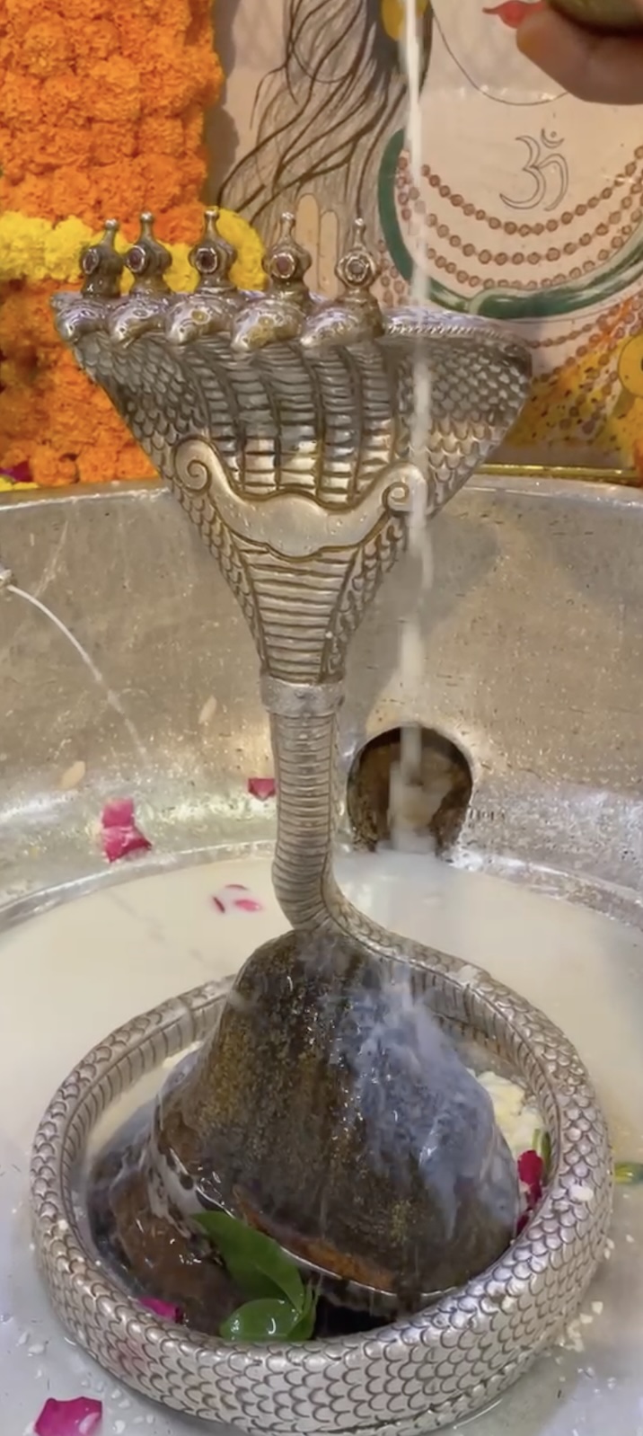 Rudrabhishek to Shree Kubereshwar Mahadev