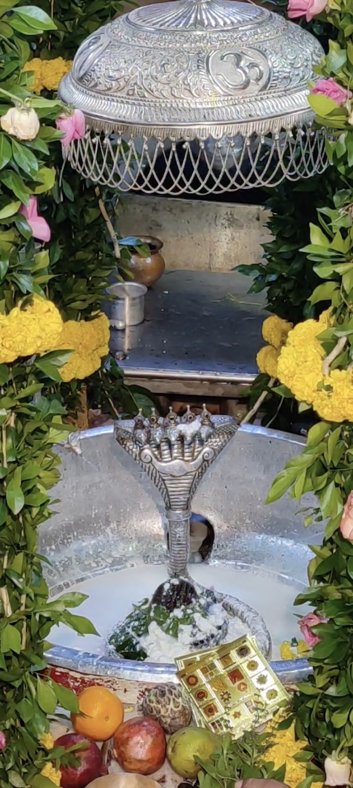 Rudrabhishek to Shree Kubereshwar Mahadev